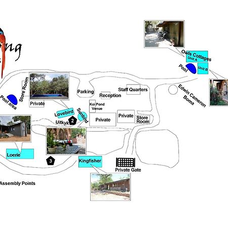 מודימול Birdsong Cottages מראה חיצוני תמונה