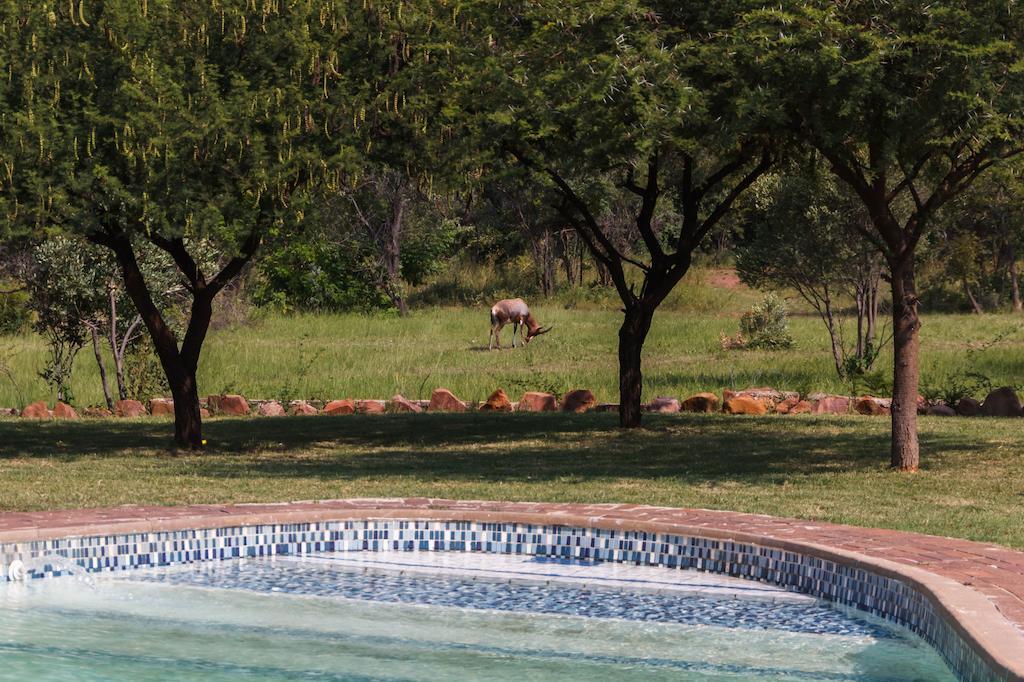 מודימול Birdsong Cottages מראה חיצוני תמונה
