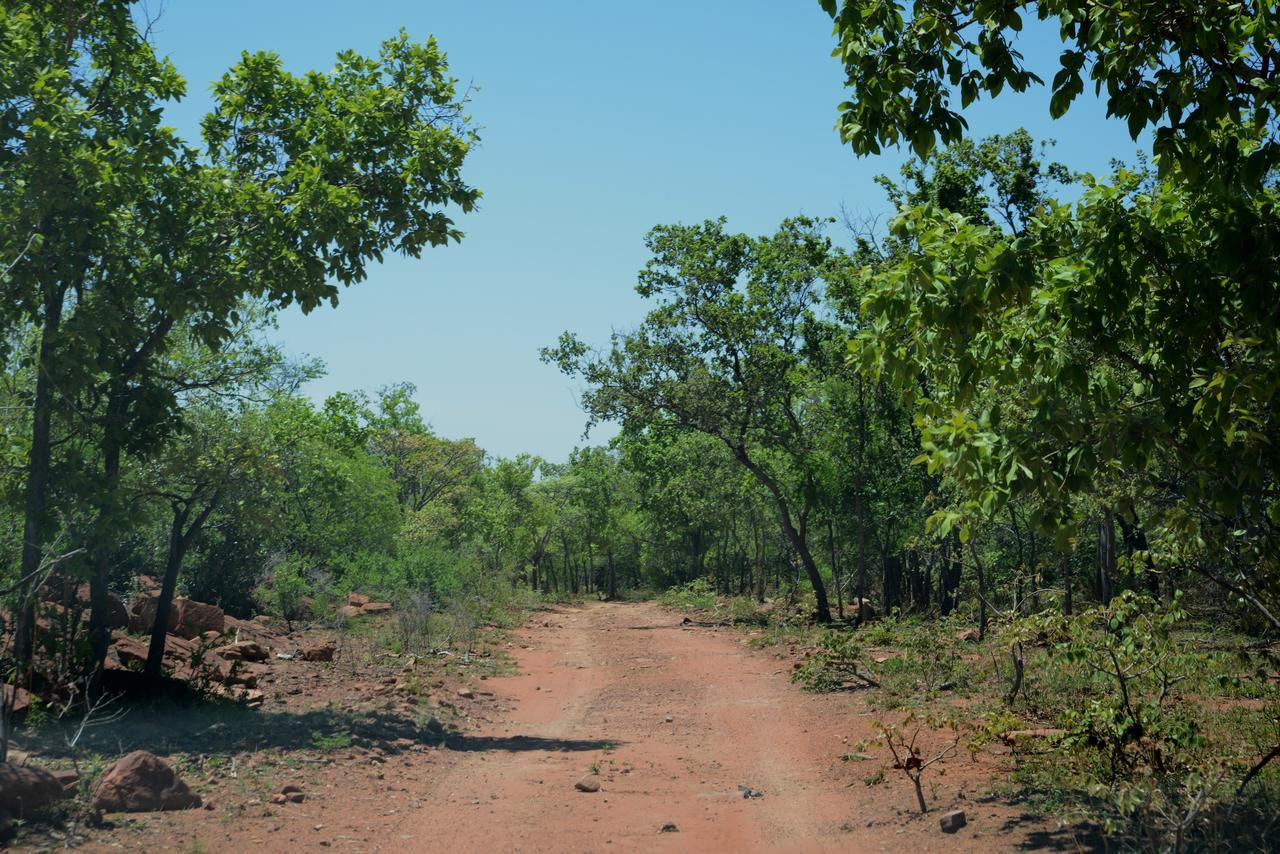 מודימול Birdsong Cottages מראה חיצוני תמונה