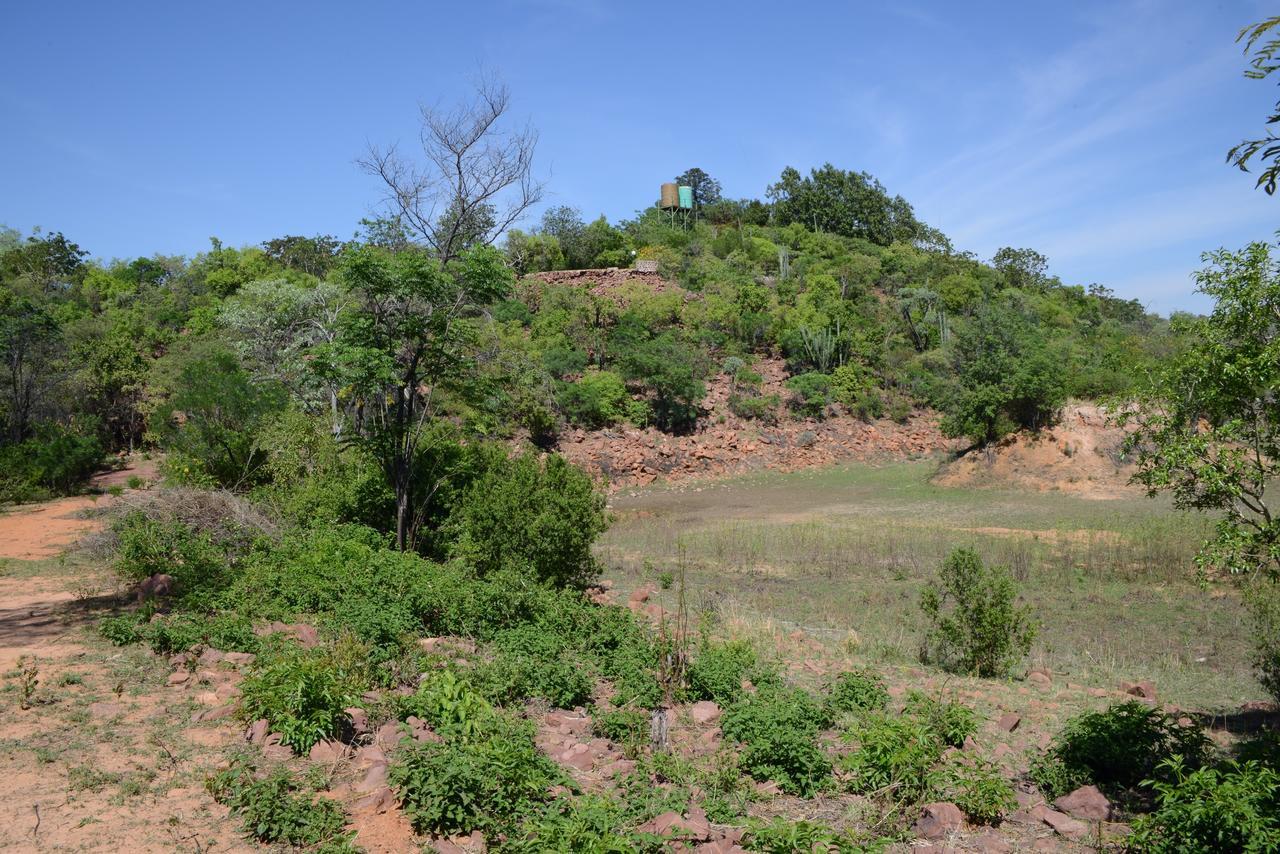 מודימול Birdsong Cottages מראה חיצוני תמונה