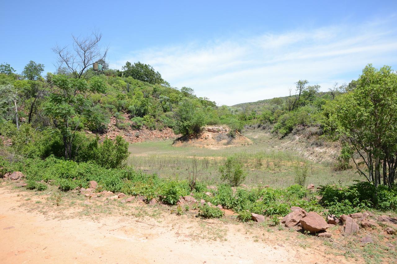 מודימול Birdsong Cottages מראה חיצוני תמונה